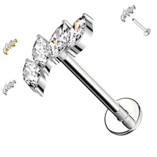 Piercing Sally